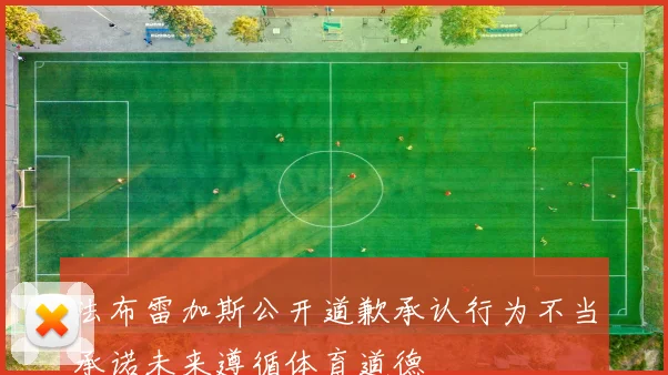 法布雷加斯公开道歉承认行为不当承诺未来遵循体育道德