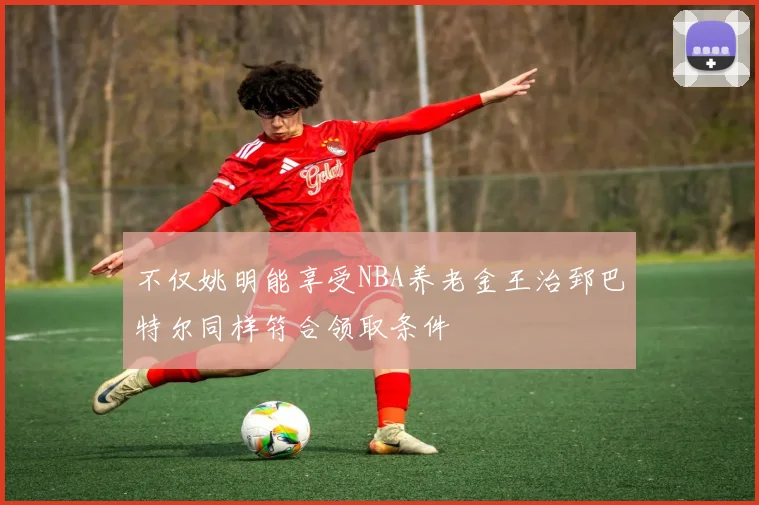 不仅姚明能享受NBA养老金王治郅巴特尔同样符合领取条件