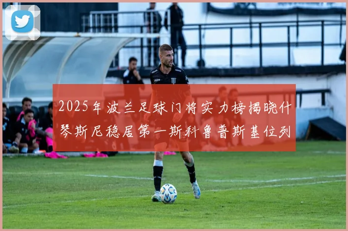 2025年波兰足球门将实力榜揭晓什琴斯尼稳居第一斯科鲁普斯基位列第三