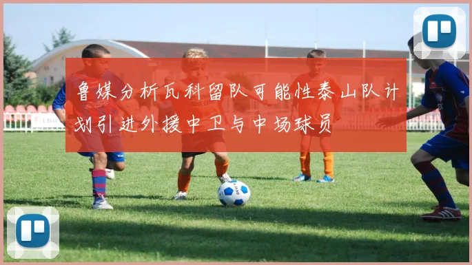 鲁媒分析瓦科留队可能性泰山队计划引进外援中卫与中场球员